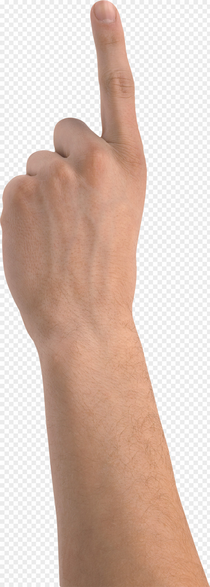 Hands PNG, Hand Image Free Man's Thumb PNG