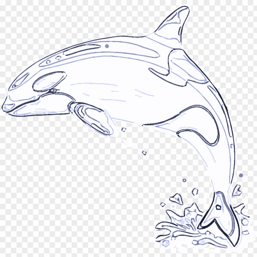 Porpoise Coloring Book Bottlenose Dolphin Line Art Marine Mammal Cetacea PNG