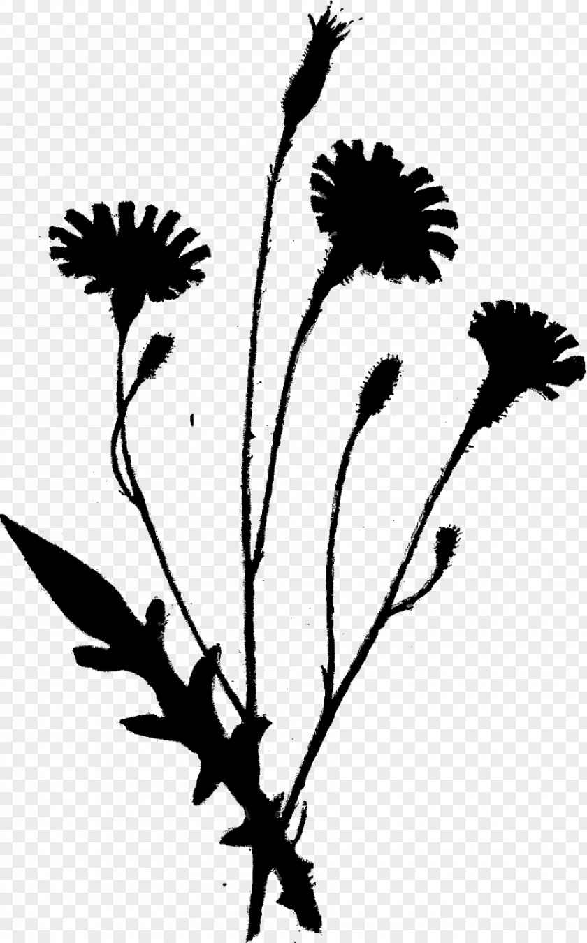 Twig Clip Art Plant Stem Leaf Silhouette PNG