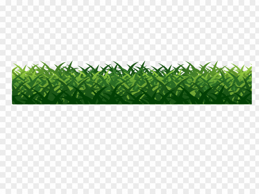 Vector Green Grass Adobe Illustrator Euclidean PNG