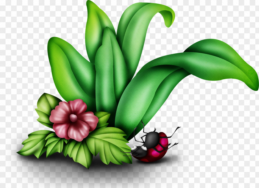 Ladybug Mosaic Cartoon PNG