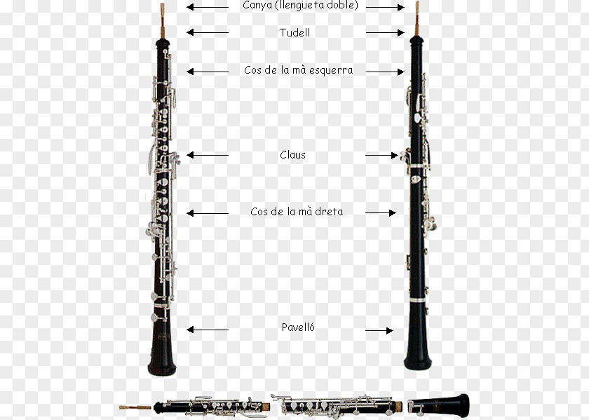 Musical Instruments Cor Anglais Clarinet Bass Oboe Piccolo PNG