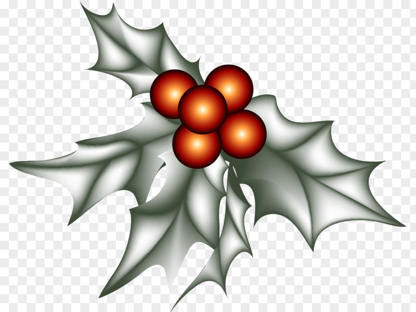 Botanic Ornament Holly Christmas Day Design Image PNG