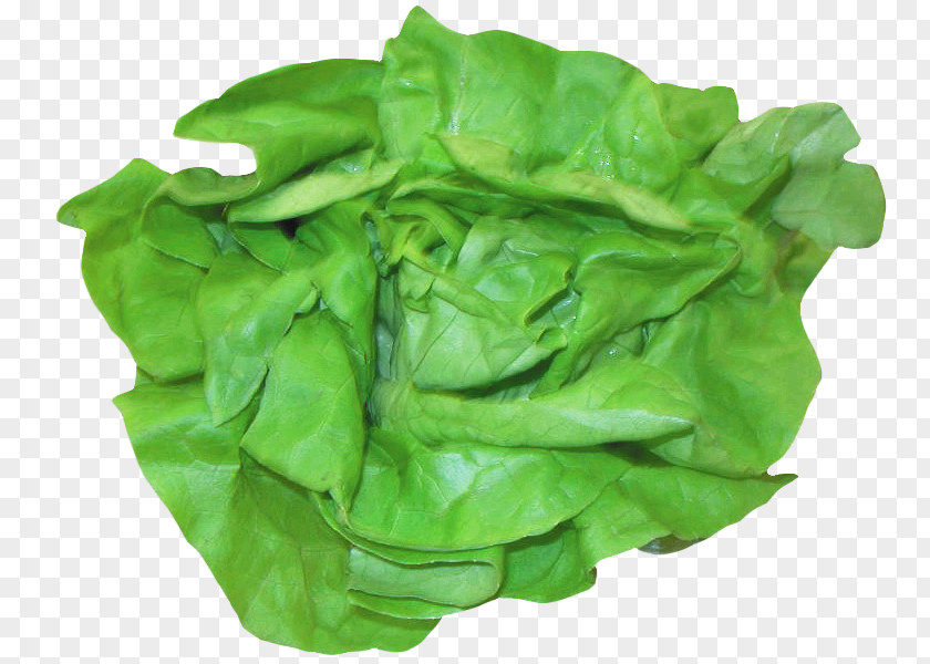 Salad Romaine Lettuce Spinach Chard PNG
