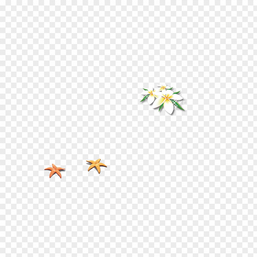 Starfish Flower Pattern Clip Art PNG
