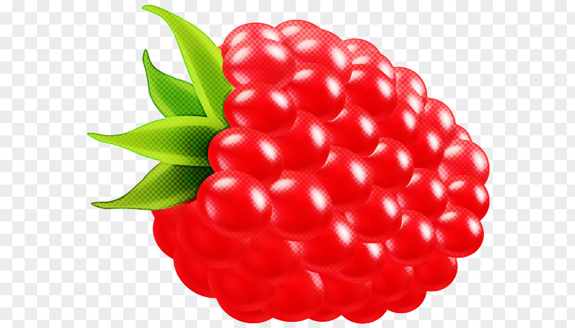 Superfruit Raspberry Berry Fruit Red Seedless Plant PNG