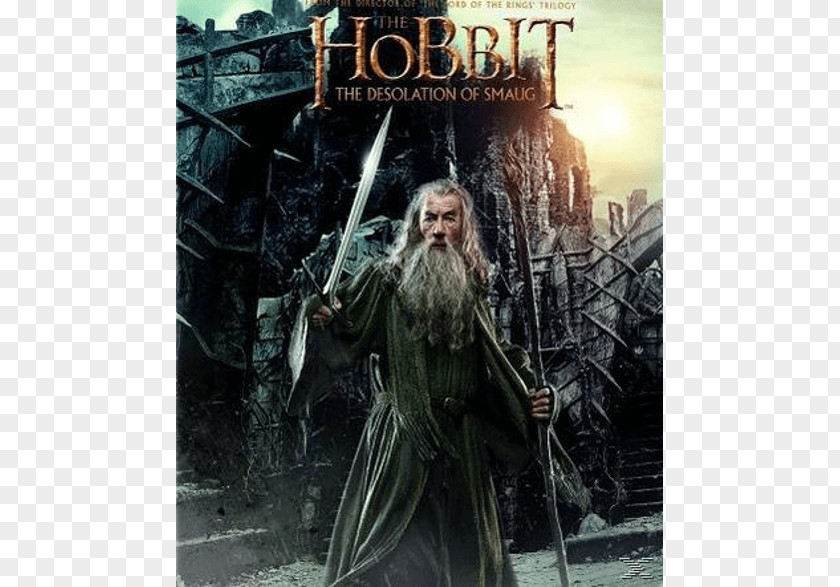 The Hobbit Smaug Bilbo Baggins Gandalf Blu-ray Disc PNG