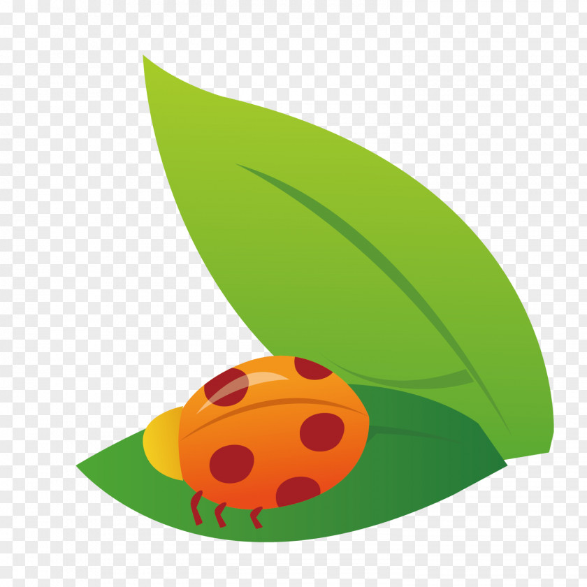 Green Leaf Seven Star Ladybug Vector Decoration PNG