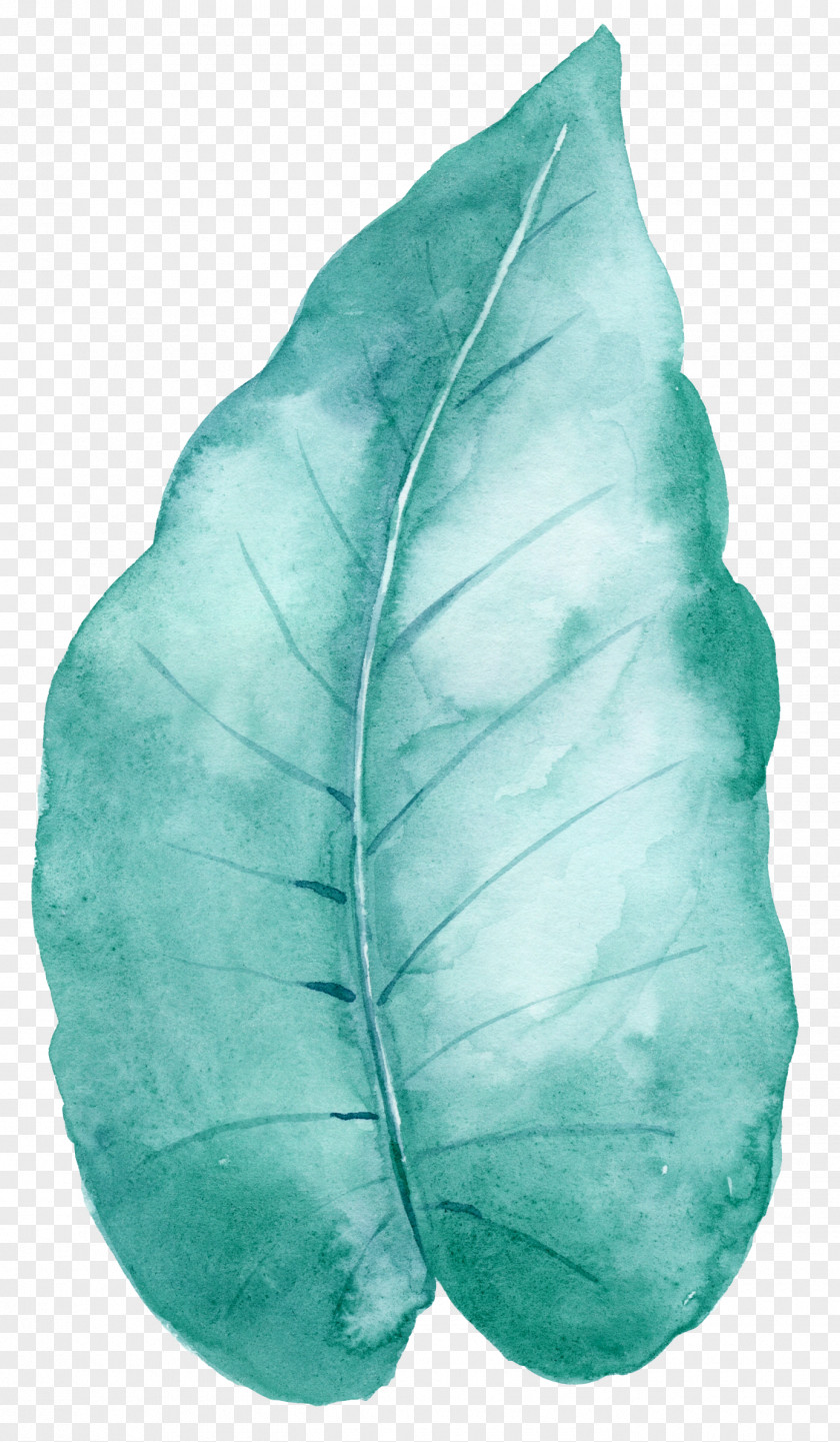 Hand-painted Mint Green Leaves Leaf PNG