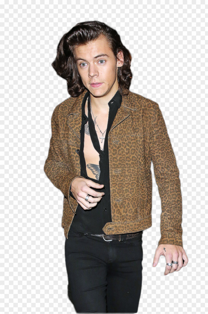 Harry Potter Styles The X Factor One Direction PNG