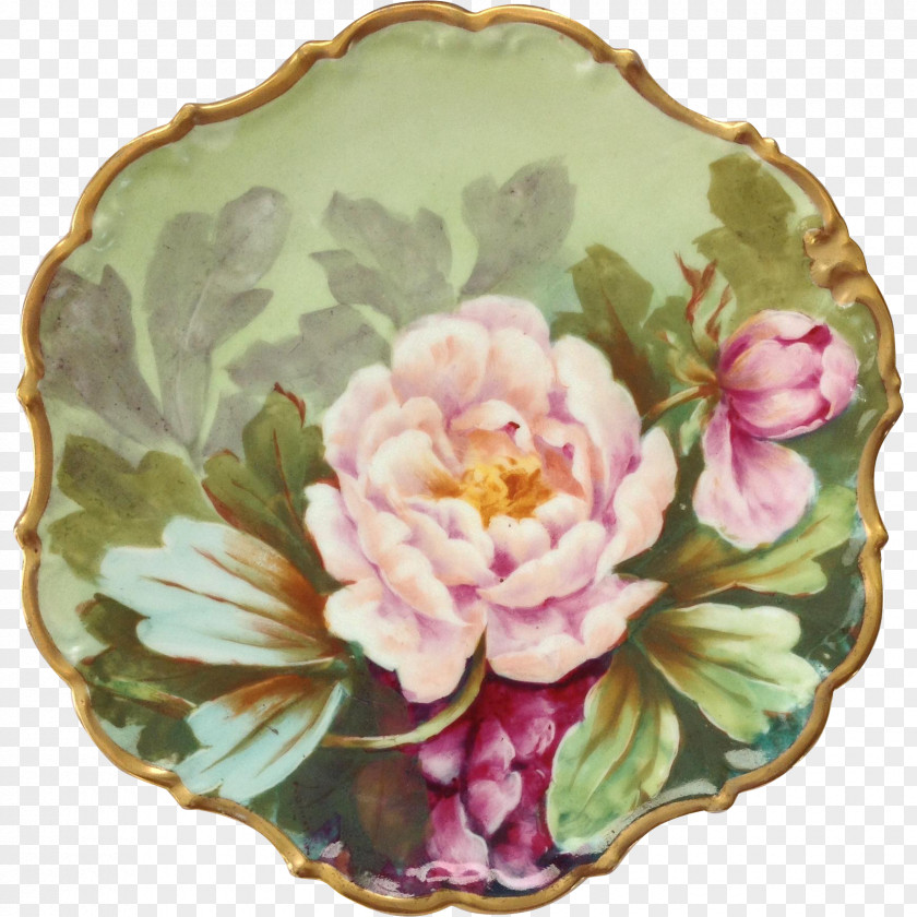 Plate Limoges Porcelain Painting Cabbage Rose PNG
