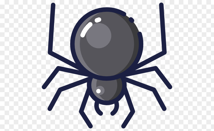 Spider Web Crawler PNG