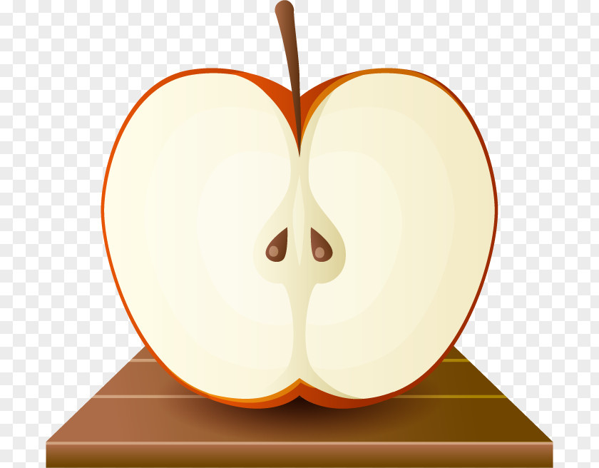 Vector Cut Apple Fruit Slice PNG