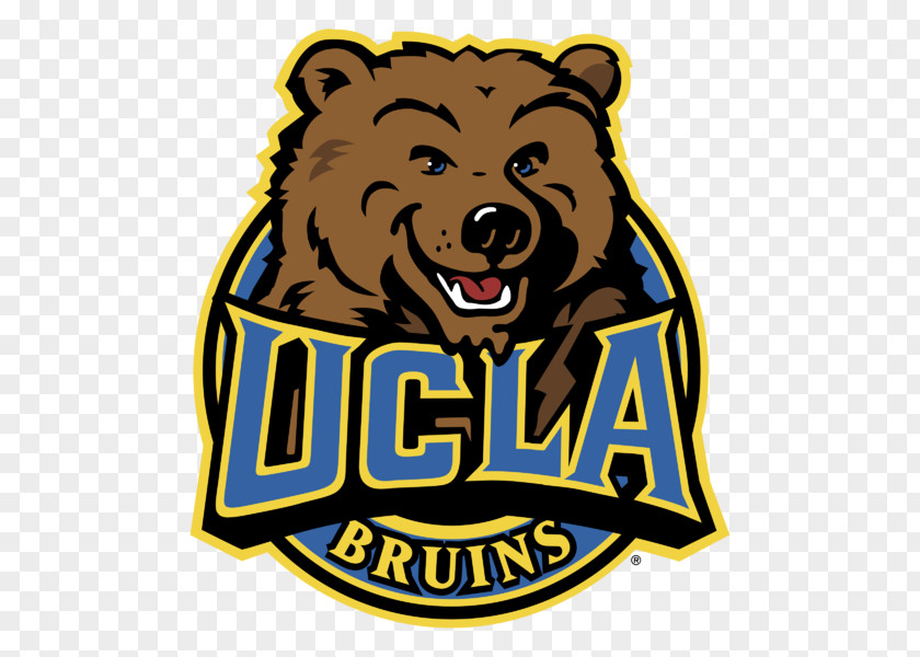Bear University Of California, Los Angeles UCLA Bruins Football Logo Brand PNG