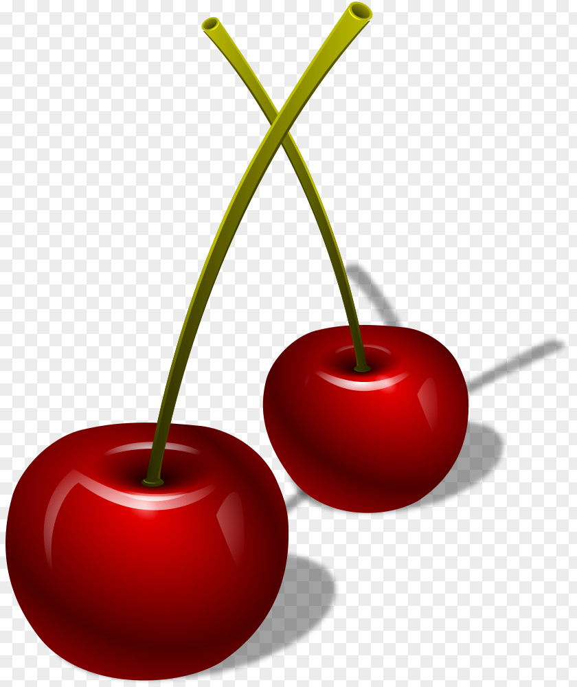 Berries Clip Art Vector Graphics Cherries PNG