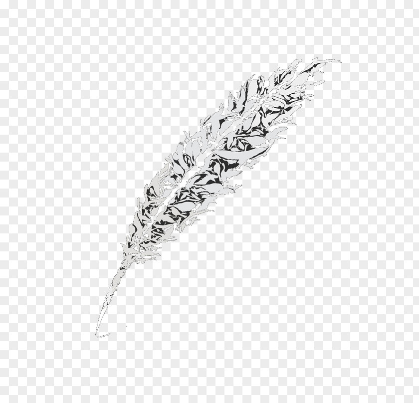 Feather White Black Pattern PNG