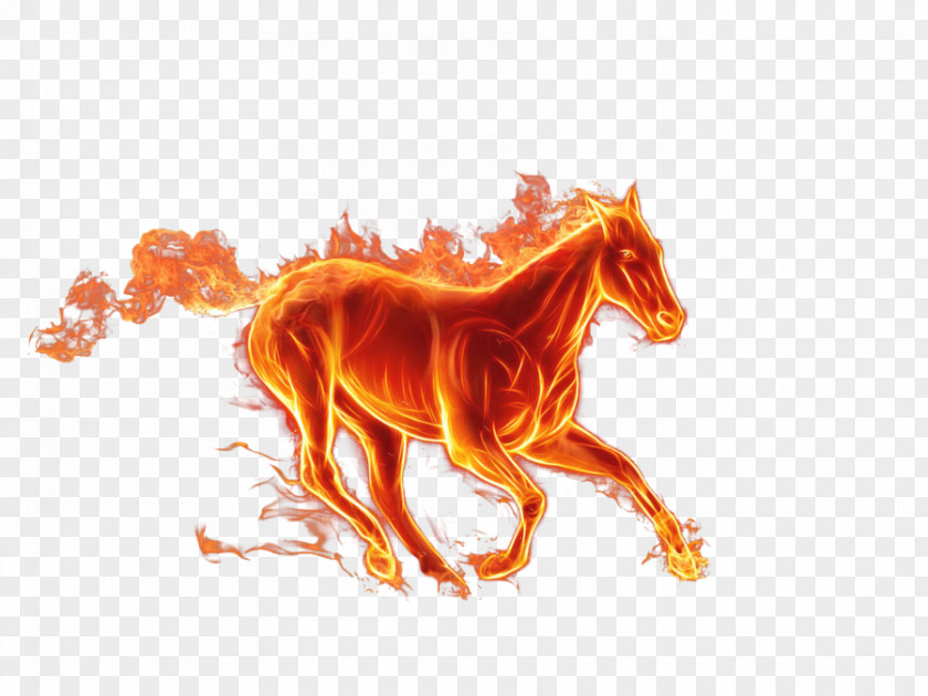 Horse Drawing Fire PNG Fire, fire horse clipart PNG