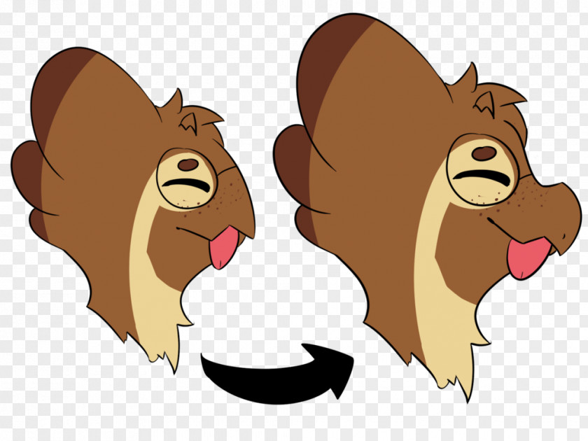 Lion Whiskers Cat Snout Roar PNG