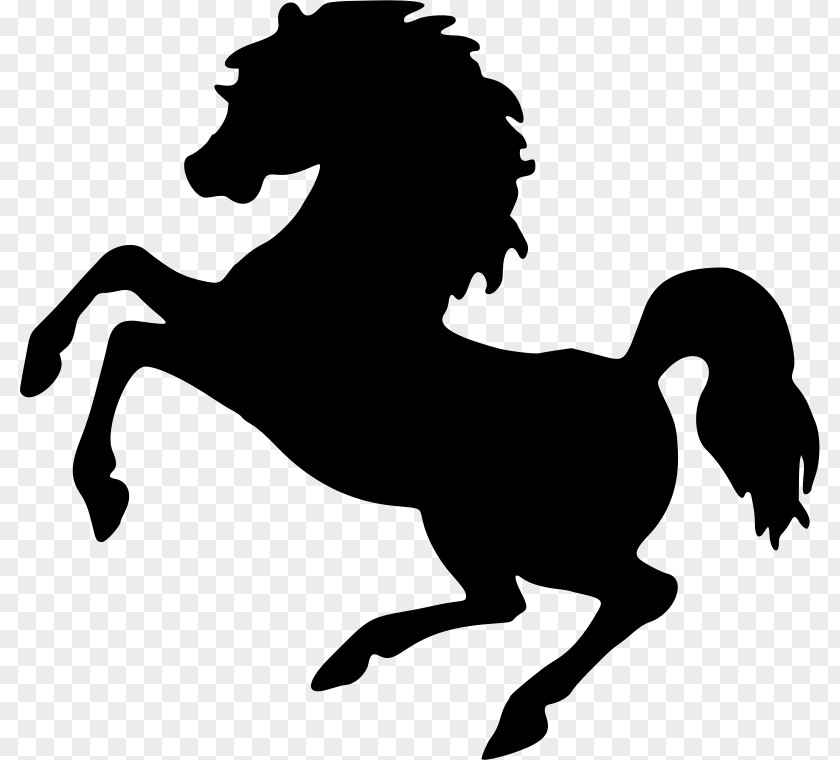 Mustang Stallion Rearing Equestrian Clip Art PNG