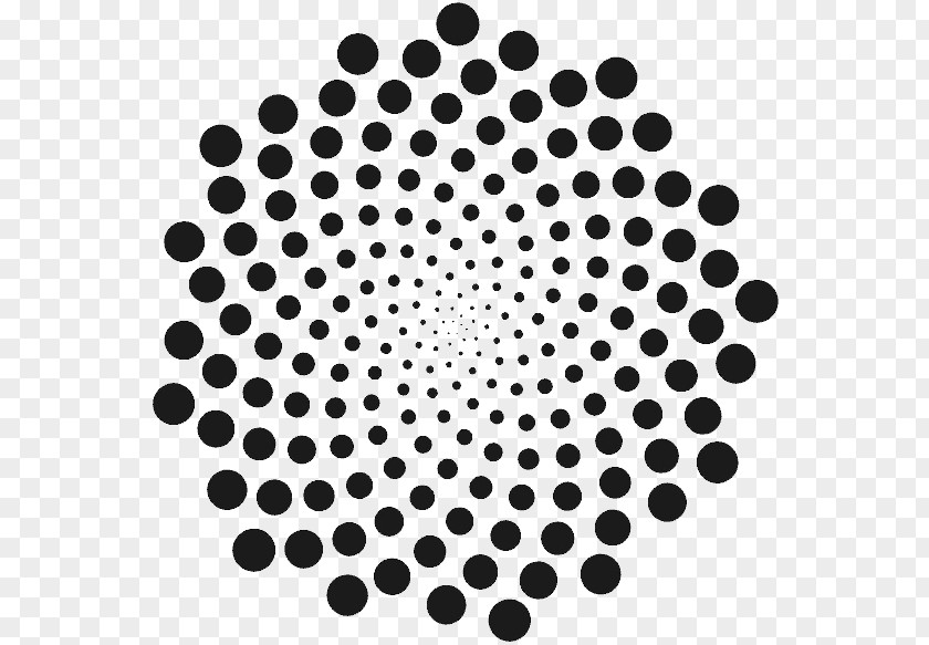 Phyllotaxis Graphic Design PNG
