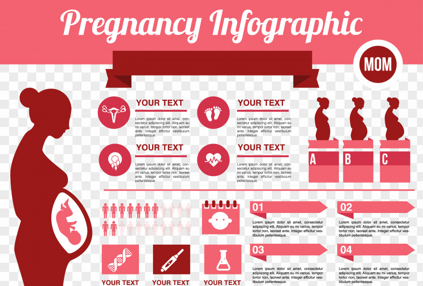 Pregnant Women Information Data PPT Material Infographic Pregnancy Childbirth PNG