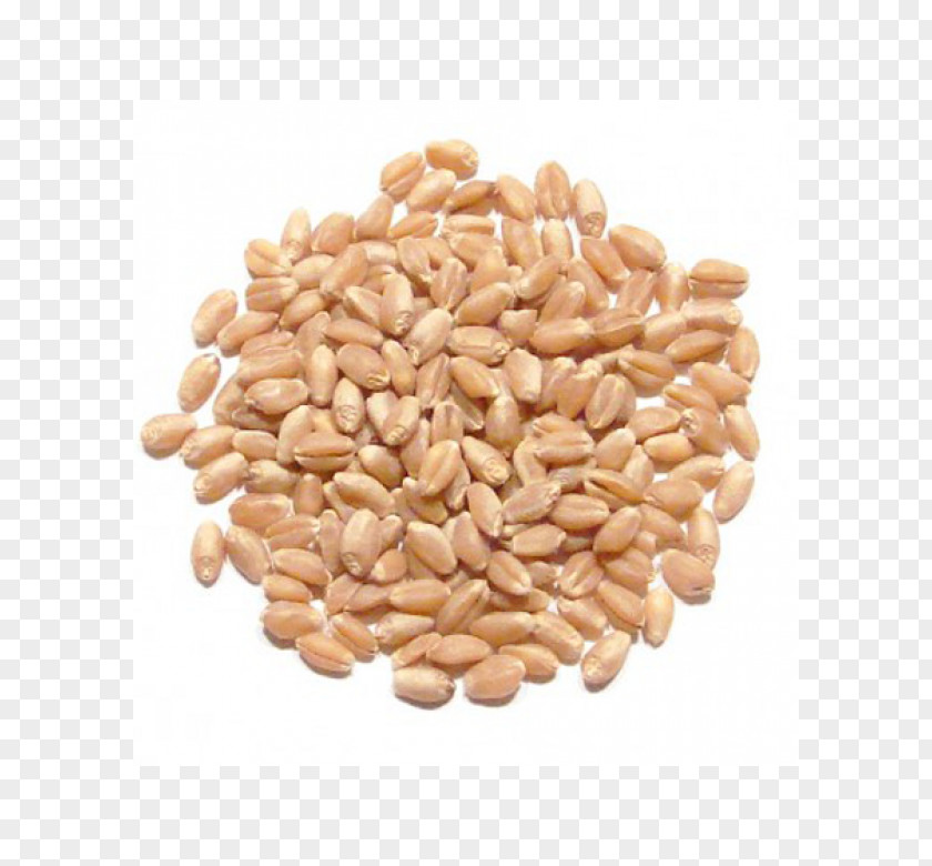 Wheat Berry Whole Grain Spelt Durum Food PNG