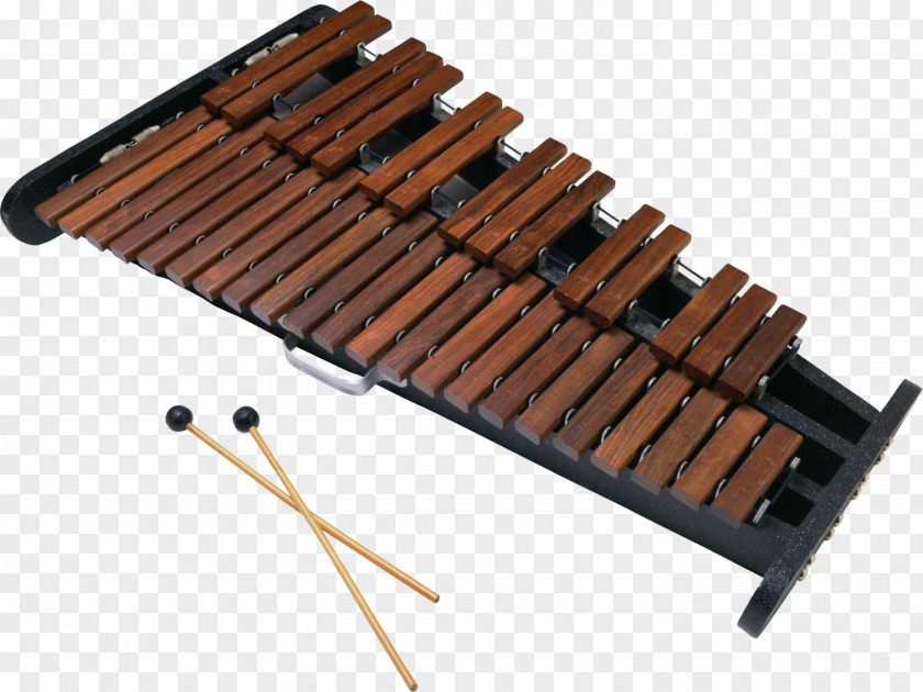 Xylophone Musical Instruments Percussion Mallet Glockenspiel PNG