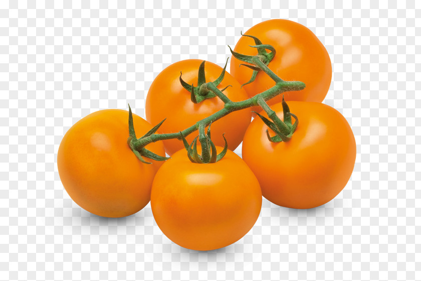 Cherry Tomatoes Tomato Heirloom Vegetable Orange Variety PNG