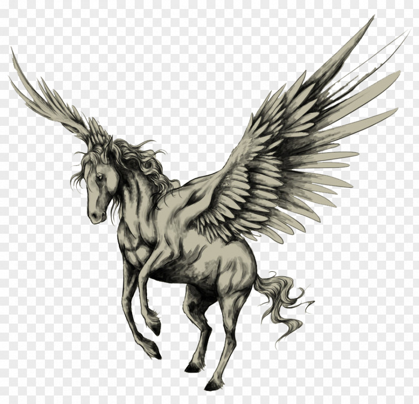 Pegasus Tattoo Drawing Horse Sketch PNG