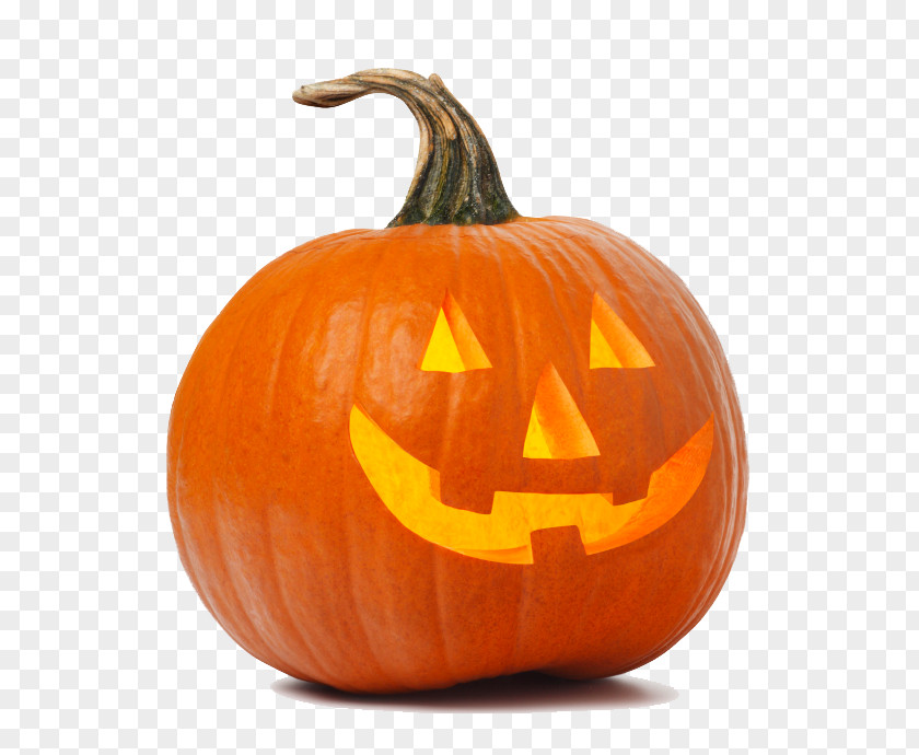 Pumpkin Isolated Png White Background Jack-o'-lantern Decorating Halloween PNG
