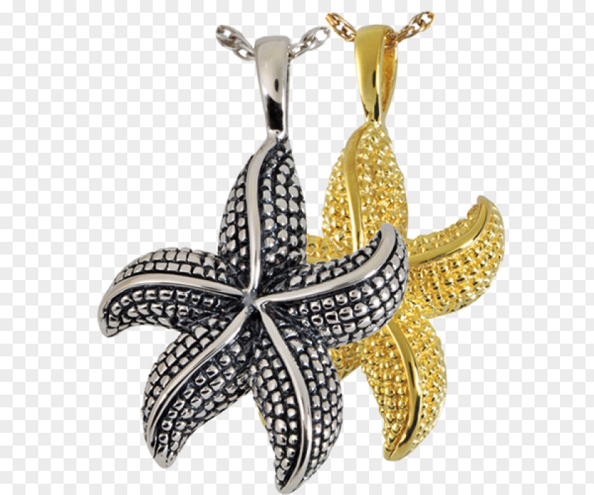 Star Fish Charms & Pendants Jewellery Sterling Silver Gold PNG