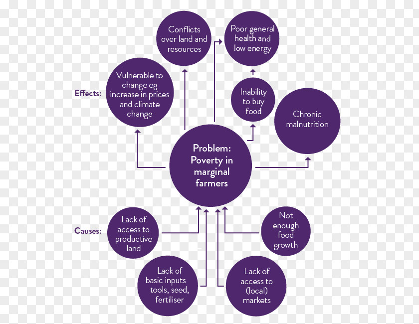 Design Brand Diagram PNG