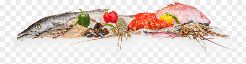 Fish Restaurant Cut Flowers Food Body Jewellery PNG