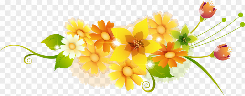 Flower Floral Design Yellow Photography PNG