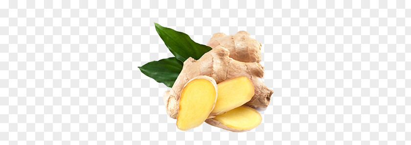 Ginger PNG clipart PNG