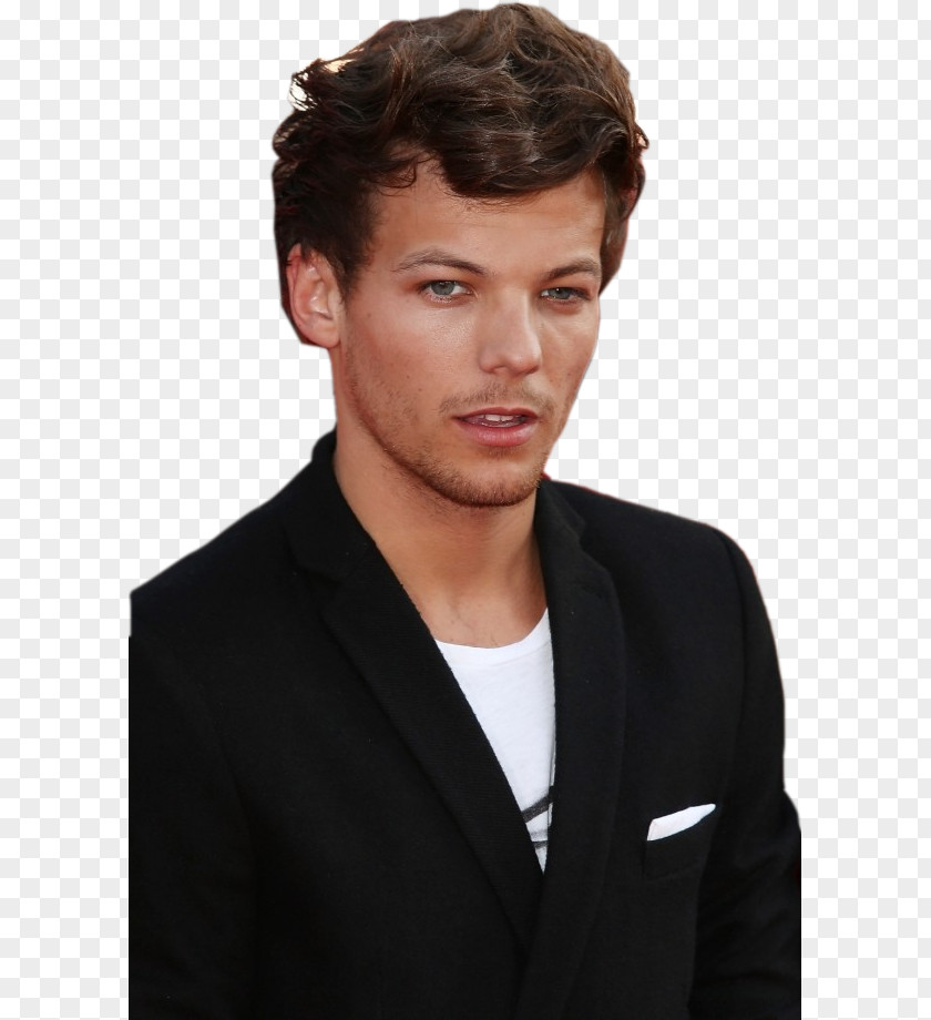 One Direction Louis Tomlinson Take Me Home Tour Musician What Makes You Beautiful PNG