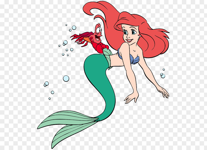 Ariel Sebastian The Little Mermaid Prince PNG