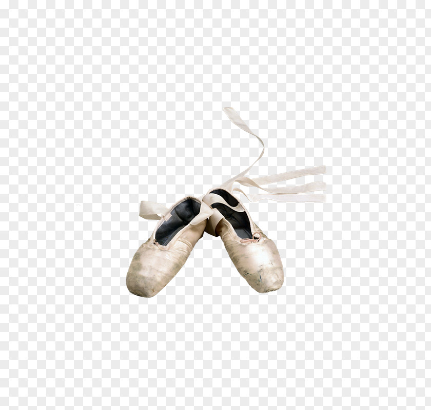 Baile Slipper Ballet Shoe PNG