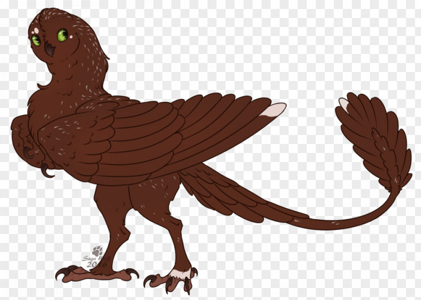 Bird Of Prey Beak Feather Cartoon PNG