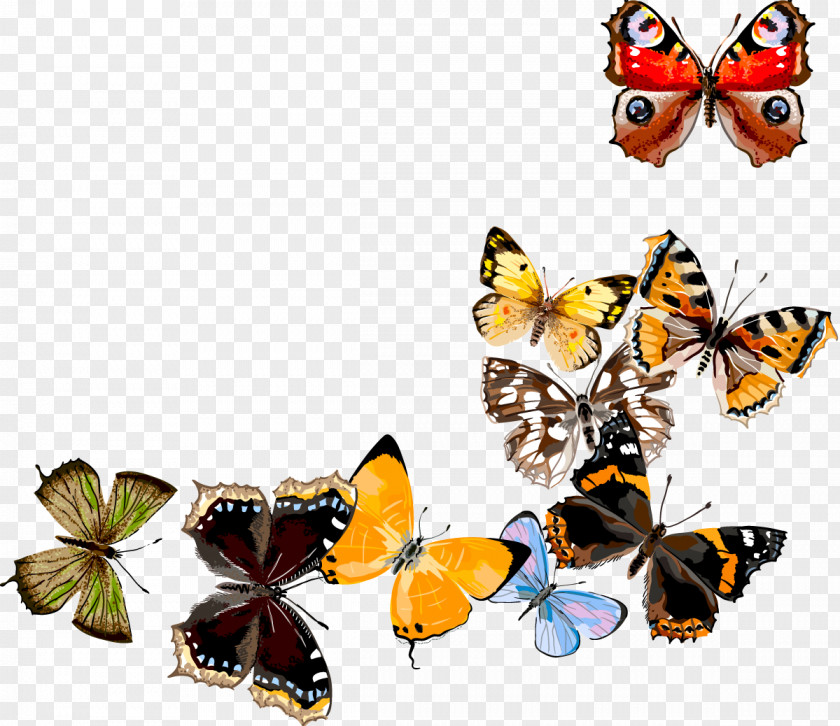 Butterfly Digital Art PNG