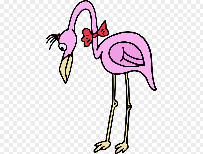 Flamingo Animal Clip Art Drawing Openclipart Image PNG