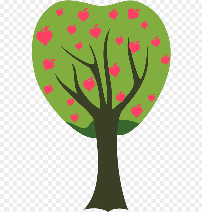 Flower Plant Stem Tree Leaf Woody PNG