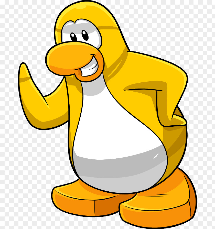 Penguin Club Yellow-eyed Water Bird PNG