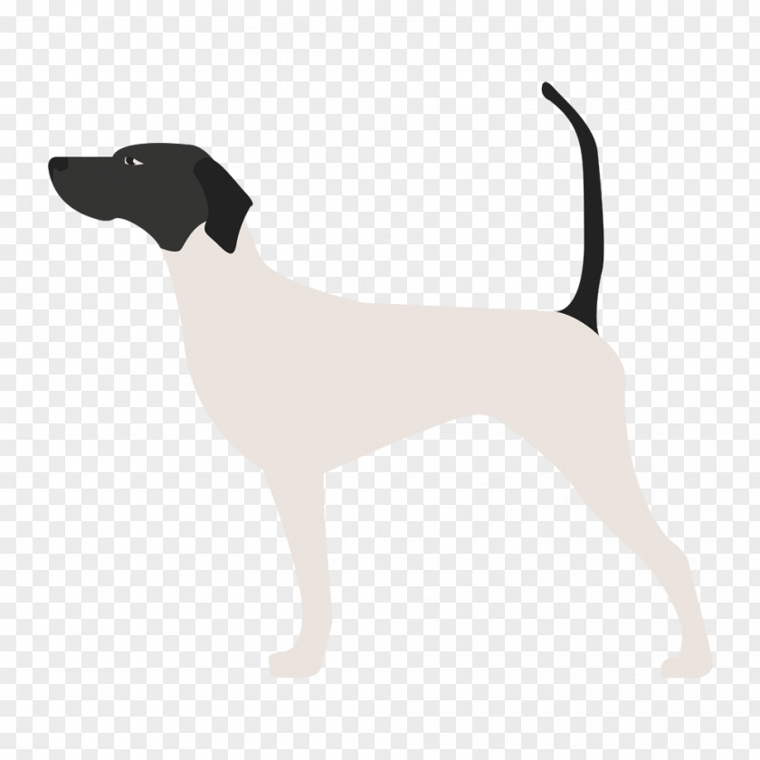 Puppy Dog Breed Pointer Akita Bearded Collie PNG