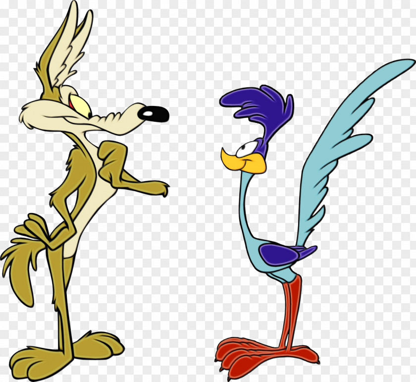 Tail Beak Road Runner Cartoon PNG