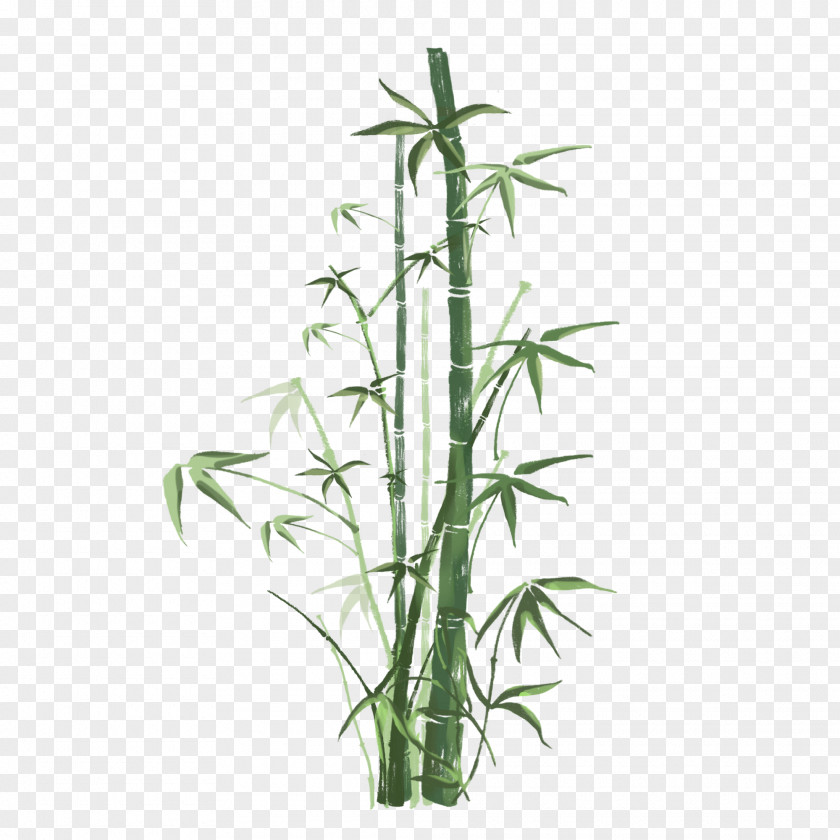 Bamboo Flower Plant Terrestrial Stem PNG