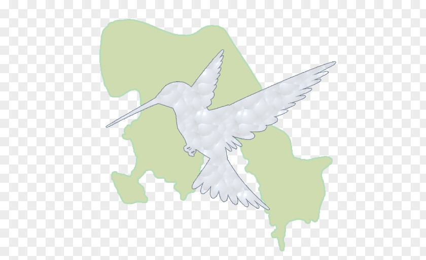 Bird Of Prey Beak Peace PNG