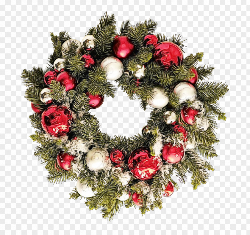 Fir Holly Christmas And New Year Background PNG