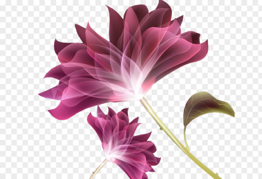 Flower Cut Flowers Petal Rose Pink PNG