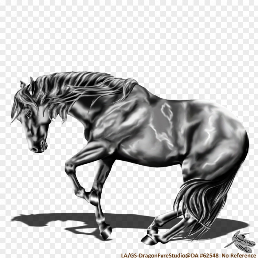 Mustang Mane American Quarter Horse Pony Stallion PNG